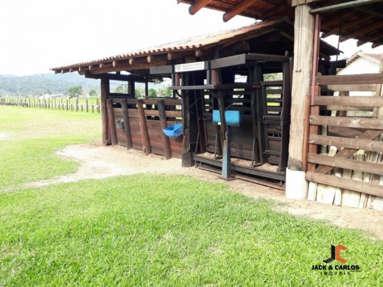 Sítio à Venda em Gaspar na Margem Esquerda Sítio à Venda em Gaspar na Margem Esquerda