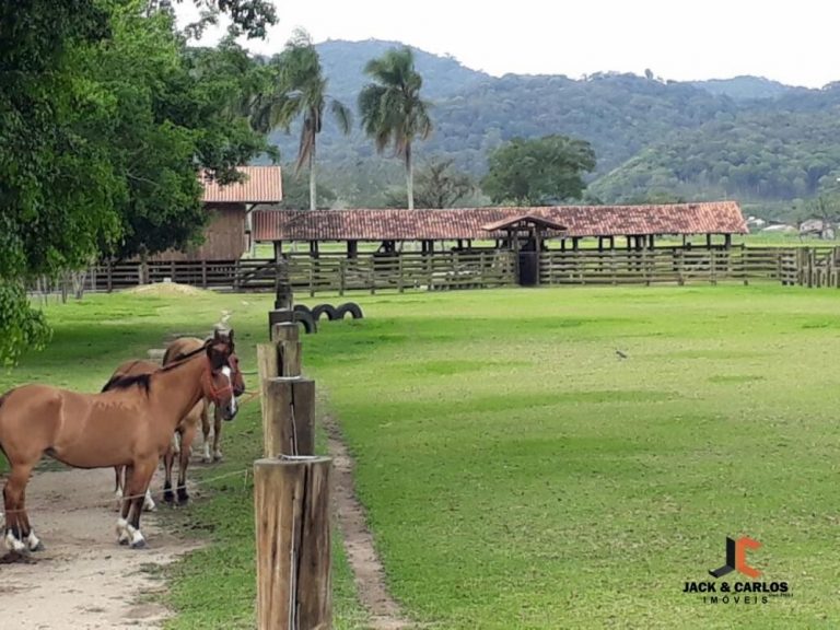Sítio à Venda em Gaspar na Margem Esquerda Sítio à Venda em Gaspar na Margem Esquerda
